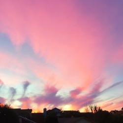 surfinq:every morning on my way to school I see a cotton candy sky that makes me drool