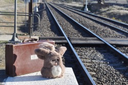 justfurbythings:  Waiting for the midnight train going anywhere 