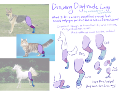 cieldoberman: I had an ask for how I draw my anthro back legs so here’s a basic tutorial/breakdown, I’m no professional by any means and this is just from a long time of practicing and drawing but I hope you find it useful!  [open for commissions]