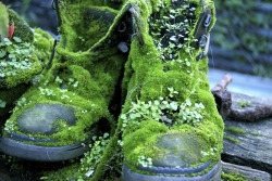 corvidprince:  moss covered boots, bedfordale