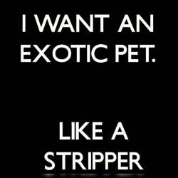 👌💦👠💰💵💲💯🔞💸#strippers #stripclubs #stripperlove #iminlovewithastripper 👈 not really #bandsmakeherdance #poledance #poledancers #exoticdancers #exoticpets #makeitrain