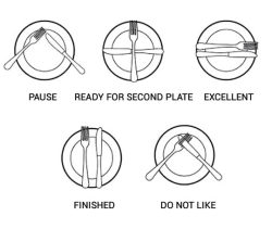 spoopystationmanagement:   phrux:  leakinginklikeblood:  lifemadesimple:  Plate Etiquette   I did not know this.    The fuck is wrong with rich people ‘hey do you want a second plate’ no i want to make up a secret passive aggressive fork language