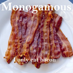 pupshadow:  mercurysand:  hanabidrift:  puckotg22:  wallywest89:  How to get a straight guy to understand common gay/sexual/relationship terms… use bacon!  Perfect gay bacon post is perfect.  I am actually gonna use this with my heterosexuals, yes I