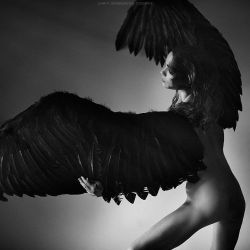 johnpdunnigan:  #art #artistic #fineart #blackandwhite #dancer #ballerina #body #wings #feathers #angel #bird #swan #makeup #mua #muah #sexy #sensual #mood #drama #johnpdunniganphotography #johnpdunnigan