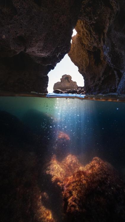amazinglybeautifulphotography:  Just below the surface, near Praya de Rocha, Portugal [1152x2048][OC] - Author: mikeesfp on Reddit