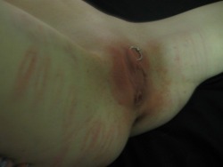  pussymodsgalore Hairless pussy with a VCH piercing with a ring. All the signs are that recently her inner thighs and pussy have been whipped or caned. BDSM pain games. 