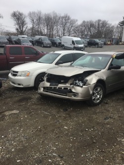 kittenfossils: kittenfossils:   my car :( if you’ve seen my previous post you know i was in an accident. if you can donate anything to my paypal or signal boost it would mean so much (alleecats@yahoo.com)  i also will be selling some of my vinyl and