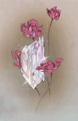 mysticself:   “The lotus flower is a reminder