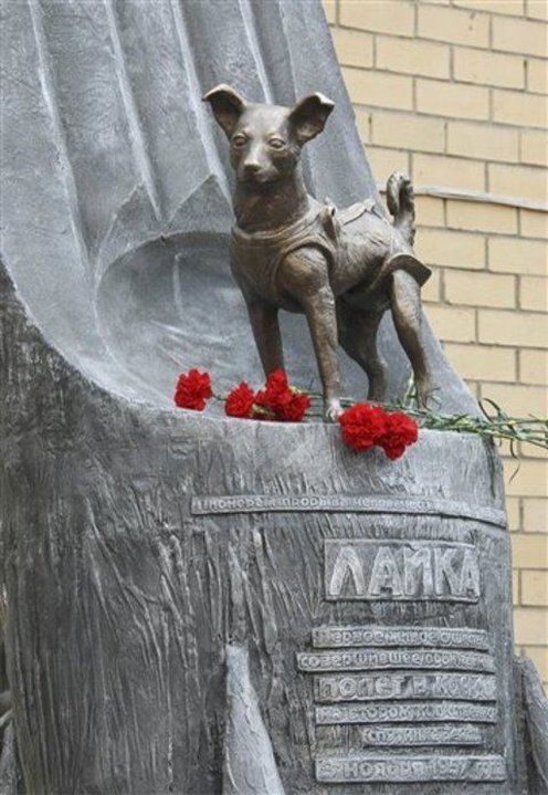 enrique262:  Laika (Russian: Лайка; c. 1954 – November 3, 1957) was a Soviet
