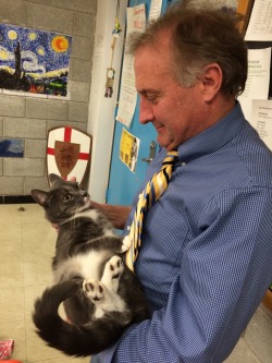 Hcwell:  The Highlight Of My Day Was My Teacher Bringing His Cat To School, And Everytime
