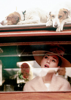 vintagegal:Audrey Hepburn photographed during the filming of Funny Face, Paris, 1956 (via)