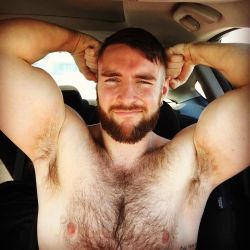 malefeed:   dhink11: The gym is always a great way to start the day 😜💪🏼 #Furry #hairy #scruffy #beard #HairBear #flex #fitness #swolfie #doubleflex #bis #tris #EgoDay #smileycub #armpits 🙈 [x] #dhink11 