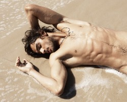 Look who washed up… is it a merman?