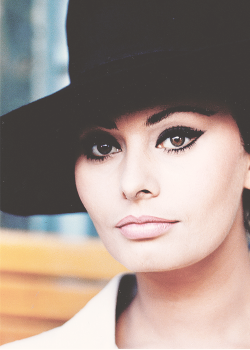 msmildred:  Sophia Loren, 1960’s. 