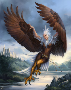 candragloomblade:Commission - Flying Harpy
