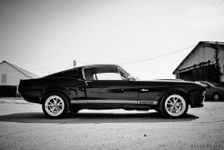 musclecarblog:  (via Ford Mustang Shelby GT500 by AlexaBrain on deviantART)