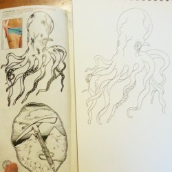 Copying an octopus freehand to study. #octopus #iwantanapprenticeship