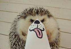 pleatedjeans:  Marutaro the Hedgehog Poses With Paper Masks (14