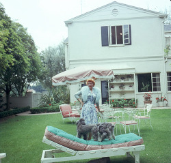 lucille&ndash;ball-blog: Lucille Ball plays with her dogs in the back garden of her home, late 1950s. 