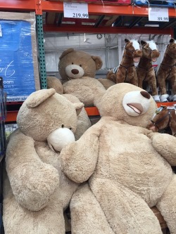 See I could be snuggling with one of these, in a babydoll teddy. I have plans!!!