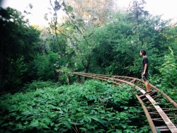 lazypacific:  effemeral-ly:  residents:  Climbing up to treetops on an abandoned roller coaster in Berlin // 2014  WOAH   omg I want to do this someday