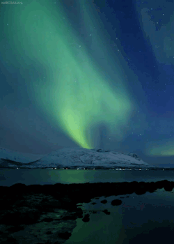 marcojulian:   Aurora Borealis 