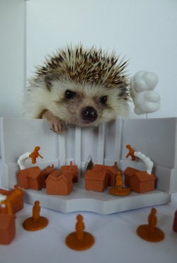 m-azing: hedgehogwithablog:  On that day Humanity received a grim reminder…  #what if eren were actually a giant hedgehog #what if they were all hedgehogs 