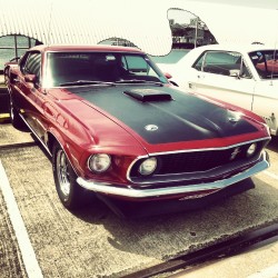 Mustang&Amp;Hellip; My Love Wish It Was Mine
