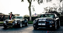 ford-mustang-generation:  Shelby Cobra and GT500 by CFlo Photography on Flickr.