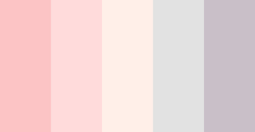 color-palettes: Citrus Icing Sugar - Submitted by I-think-im-asleep #FCC4C4 #FFDBDB #FFEFE8 #E2E2E2 #C9BFC9 