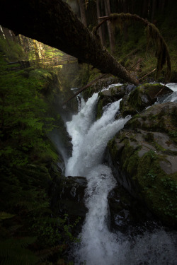 lobo-de-luna:  Since I can’t sleep, here’s a photo of Sol Duc Falls that I didn’t bother editing.