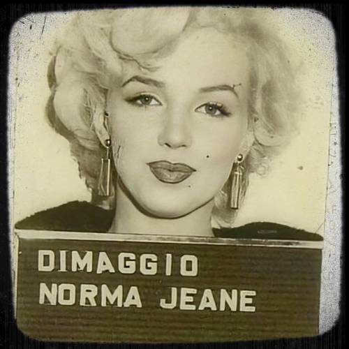 Marilyn Monroe (Her legal name at the time was Norma Jeane DiMaggio) was arrested on November 21, 1954 for driving too slowly, not having a valid drivers license and failing to appear in court. She was fined ่ Nudes &amp; Noises  