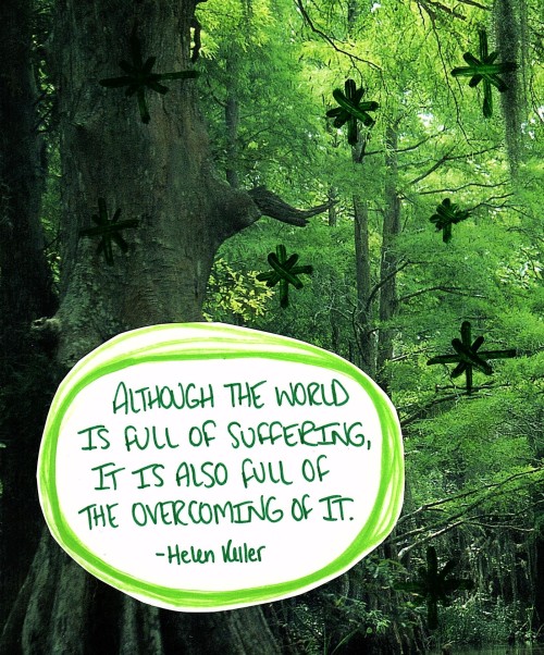 haleyincarnate:  Quote by Helen Keller