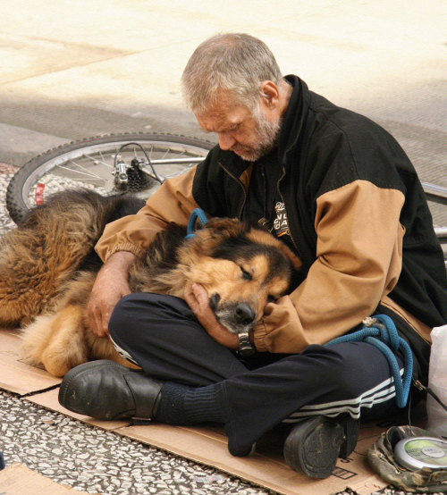  “Once a dog forms a close relationship with a caring owner, their loyalty can be unbreakable, and they will stick with their owner through thick and thin. And unlike us, dogs don’t pass judgment on people who are down on their luck or homeless. This