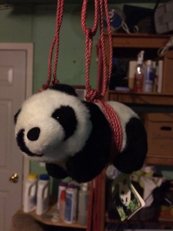 mylittlebeauty4world:  onedom:  theropegeek:  theropegeek:  Please note:  RopeGeek Rope is not typically recommended for Panda suspensions.  But only because they’re endangered and stuff.  ON SALE APRIL 20TH AT THEROPEGEEK.COM   @mylittlebeauty4world