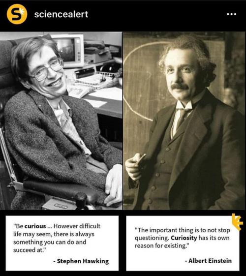blondebrainpower:  Albert Einstein March 14, 1879 – April 18 ,1955Stephen Hawking January 6, 1942 - March 14, 2018