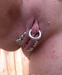 Labia bars, chastity piercing.