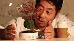 chinesebbq:  prostheticknowledge:  Air Bonsai @kickstarter campaign from Hoshinchu to produce levitating bonsai plant arrangements, combining traditional and contemporary craft: More Here  If I saw this floating and shit in the middle of the night with