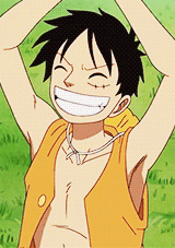 Porn Pics clayrs:  luffy's vests       