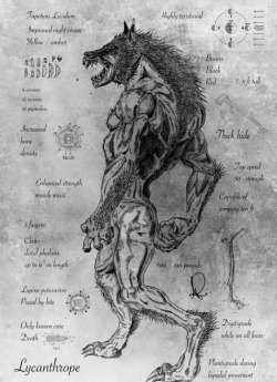 mortisia:   Lycanthropy is the mythological ability or power of a human being to undergo transformation into a werewolf.  A werewolf (from Old English: wer, “man”), man-wolf, or lycanthrope (Greek: λυκάνθρωπος, lykánthropos: λύκος,