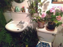 bvddhist:  netlfix:  in love with my friends bathroom  
