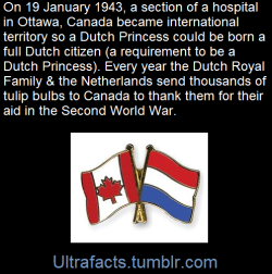 ultrafacts:  vancity604778kid:ultrafacts:Ottawa, Ontario – In 1943 Princess Margriet Francisca, was born at Ottawa Civic Hospital - the only royal ever to be born in North America. The Dutch Royal Family had fled to Canada in 1940 after the WWII invasion