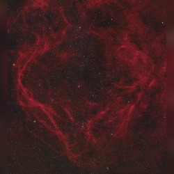 RCW 114: A Dragon&rsquo;s Heart in Ara #nasa #apod #cosmiccloud #rcw114 #ionizedatoms #hydrogen #supernovaremnant #constellation #ara #interstellar #milkyway #galaxy #space #science #astronomy