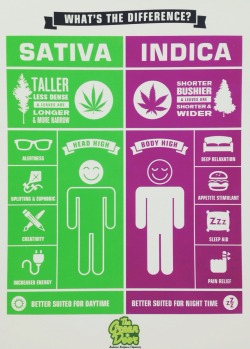 coralreefer420:  stoneyxochi:  do you know the difference? #thegreendoorsf  Love this info on a handout from the Green Door. 