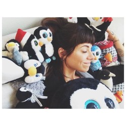 christinaperriblogs:  about how many penguins