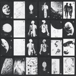 Miss-Catastrofes-Naturales:  Carl Sagan’s Book “Murmurs Of Earth” 