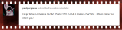 askmovieslate:Get it!? Because snakes…on a plane…pony! Haha! I’ll see myself out. Keep readingXD