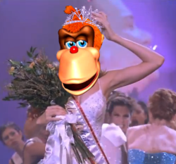HE HAS NO STYLEHE HAS NO GRACEHE’S MISS. UNITED STATES
