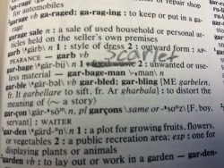 I constantly have to correct dictionaries and it&rsquo;s getting on my nerves.