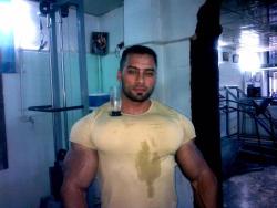 drwannabe:  Jantee Shaaban Submitted by a follower  Handsome, muscular looking man.  Massive arms and chest - physically ideal for what I lie to see in a man - WOOF